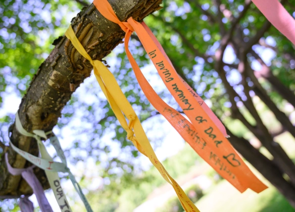 Planter un arbre Hommage : un geste symbolique